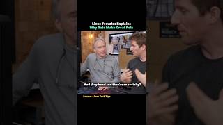 Why Linus Torvalds Loves Rats #shorts #linux #knowledge