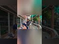 Sarpattai Parambarai Movie Dancing Rose Shabeer Workput And Excerise