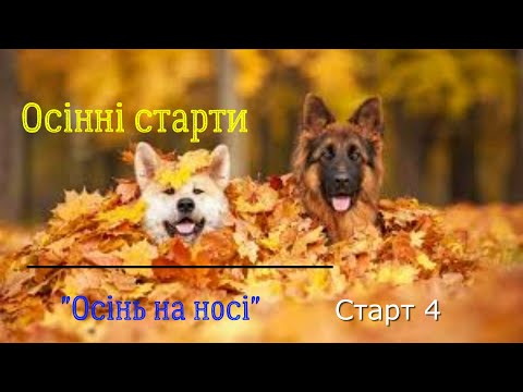 4 старт в осінніх стартах "Осінь на носі". Без п"яти хвилин осінь.