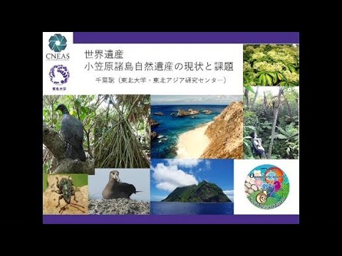 東北大学東北アジア研究センター・伊達市噴火湾文化研究所第11 回 学術交流連携講演会「日本の世界遺産：北の縄文文化と南の島の生態系」：世界遺産 小笠原諸島自然遺産の現状と課題