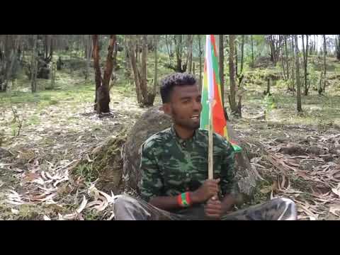 New Oromo Music 2021 Wbo