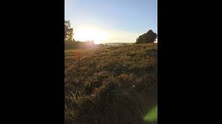 Pläne, Cover Conny Borgwardt, Ina Müller