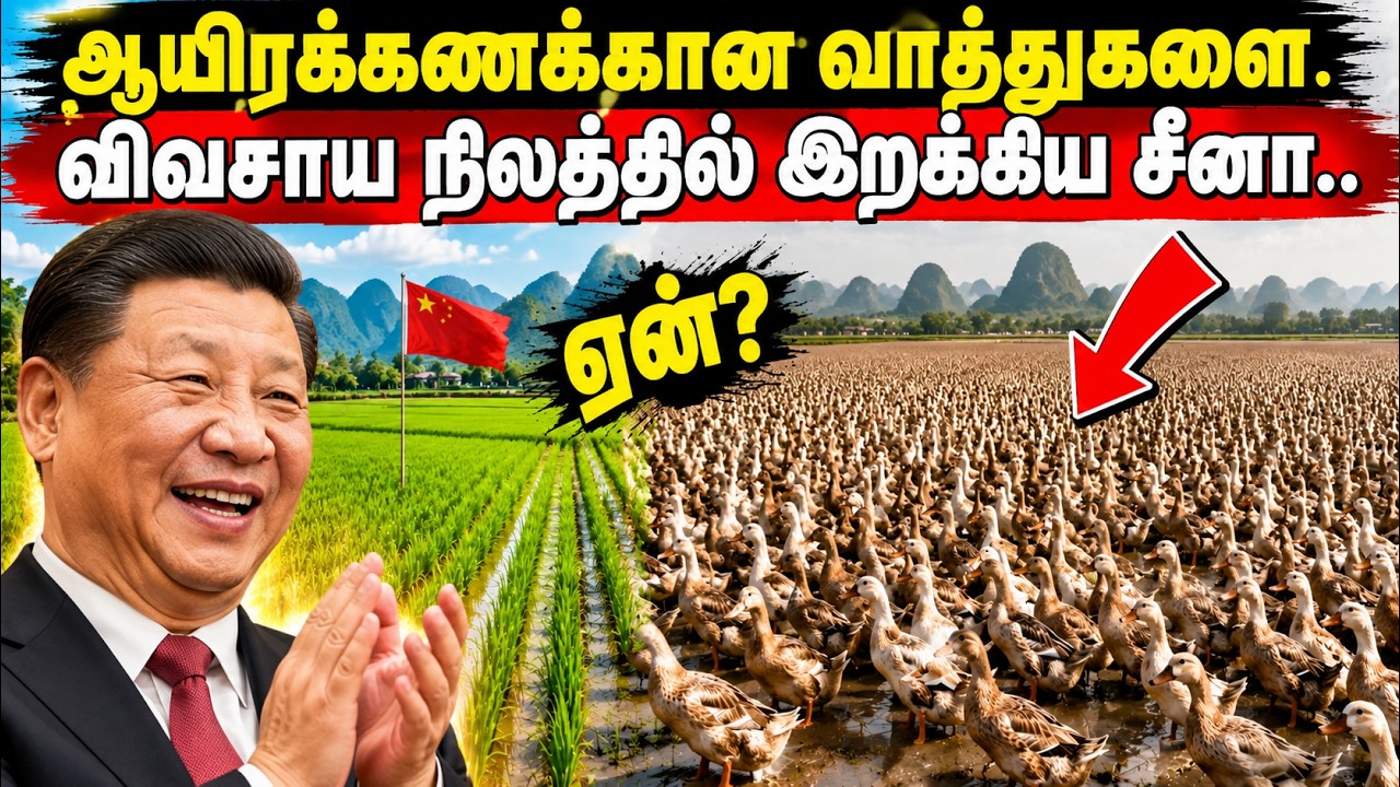 உலகை அதிரவைத்த சீனா செயல்! முட்டாள்தனம்? இல்லை, அறிவ?