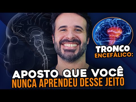 I BET YOU'VE NEVER STUDIED THE BRAINSTEM LIKE THIS