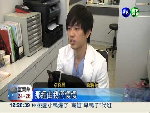 鎮院之寶"大黑"! 流浪貓重獲新生