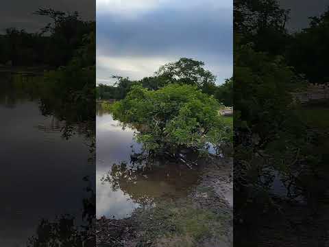 coisa linda de Deus olha a chuva chegou em nosso sertão da Bahia Quijingue BA