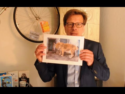 Was ist eigentlich Imprinting? Fragen Sie Peter Spork - Folge 22