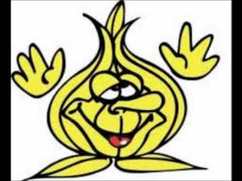 toe zetj ons op nr1..2..3....4-fleksies