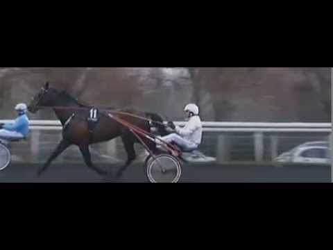 Prix de Belgique 2014_Yarrah Boko 1:14,4_P. Vercruysse