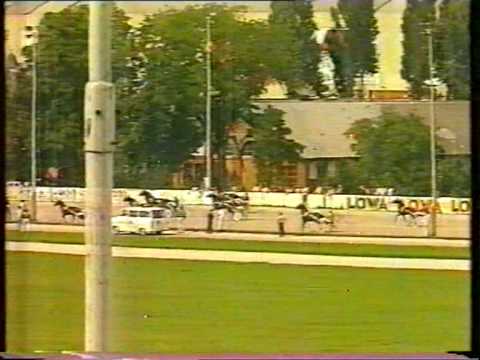 Preis der Stadt Wien 1989 2. Vorlauf - Sorrento / M.W. Kozlow