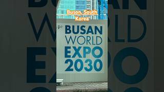 Rainy Day in Buson, South Korea Diamond Princess Ship #crew #shiplife #travel #cruiseship #princess