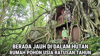 Download lagu Ngeri !! Ikuti Mbah Mardi Dari Belakang Ditunjukkan Rumah Mewah Dalam Pohon Usia Ratusan Tahun mp3 Download lagu Ngeri !! Ikuti Mbah Mardi Dari Belakang Ditunjukkan Rumah Mewah Dalam Pohon Usia Ratusan Tahun mp3