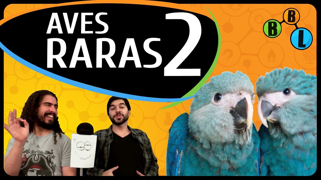 AS 5 AVES MAIS RARAS DO MUNDO 2 - Curiosity 27 | BláBlálogia