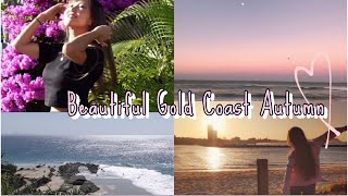秋のゴールドコースト、オーストラリアは最高に美しい【Vlog】