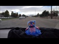 Swearing Hatchimals Swearing At Us At 2 00 Mark F Word