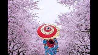 AL JARREAU  🎧  Winter Wonderland