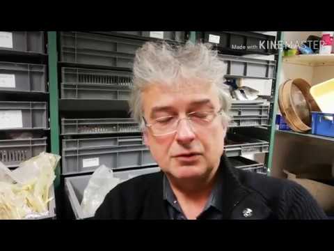 Dordogne : la guerre aux infox scientifiques