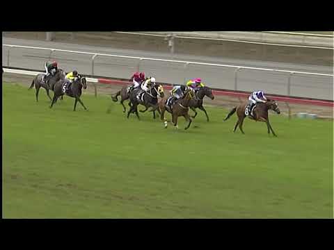 Race Replay: Matamata Race 3 - 23 February