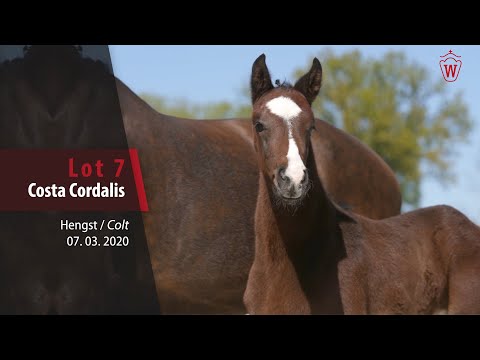 07 Costa Cordalis  Hengst v. Comme il faut - Clarimo