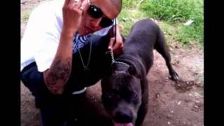 C kan Esto es Un Asalto