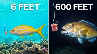 I Tested Deep Water Fishing to Find Monster Fish!