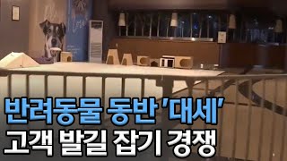 "펫팸족 잡아라" 반려동물 동반 대세ㅣMBC충북NEWS