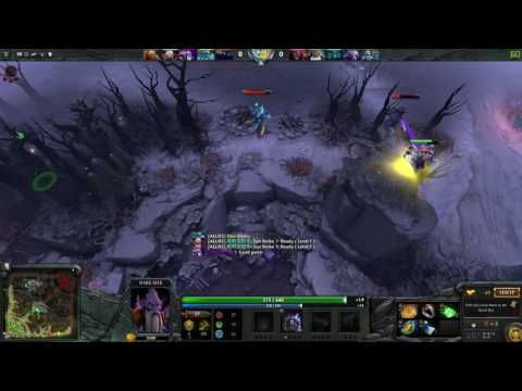 Enemy Lion has observer and sentry wards