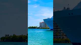 Wonder of the Seas 🛳️ #like #share #comment #subscribe #youtubeshorts #shortvideo #short #shorts