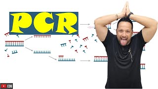 PCR (Reação em Cadeia da Polimerase) - Conceito, Aplicação e Etapas - Biotecnologia