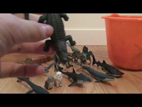 All my TakaraTomy animals and dinosaur figures! Review