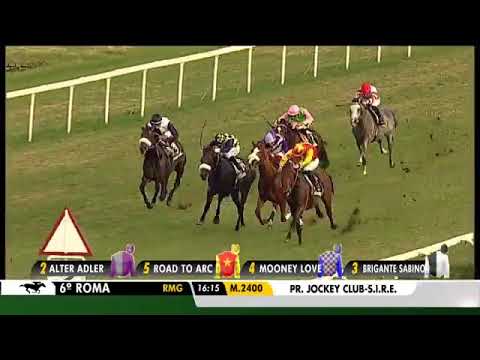 2021.10.24 Gran Premio del Jockey Club (ITA) - Road To Arc