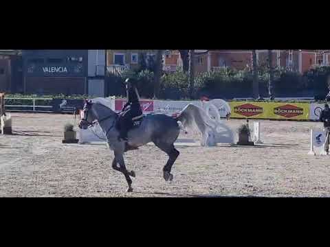 Daddy Cool Ter Linden Z