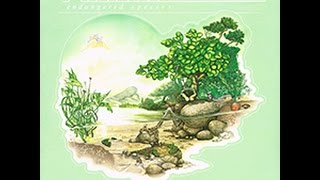 I Can&#39;t Help It KLAATU 1980 HD LP Endangered Species