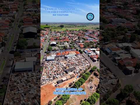 GUZOLÂNDIA SP    #aviation #turismo #djibrasil