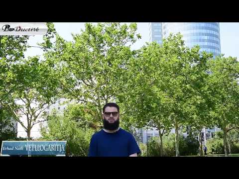 Vetllogaria -Erhad Naili