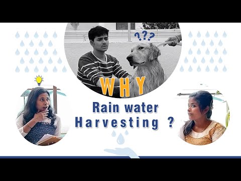 Why rainwater harvesting | Y in 5 | Episode 4 | Tamil | Studio ARKHives