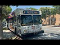 Glendale Beeline 2005 New Flyer C40LF B59