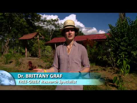 Dr. Brittany Graf
