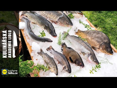 Nejznámější sladkovodní ryby - Roman Paulus - Kulinářská Akademie Lidlu