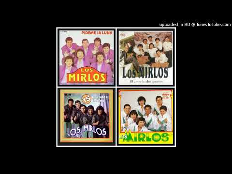 MEGA MIX - LOS MIRLOS