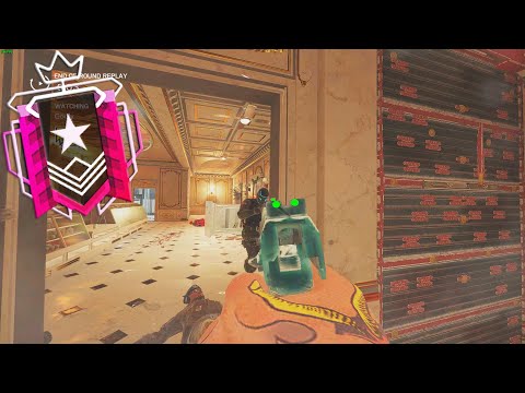 300 IQ Champion Clutches - Rainbow Six Siege