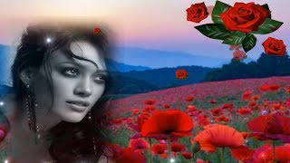 LOS TIGRES DEL NORTE prieta casada