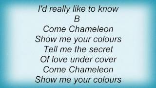 Download lagu Smile Dk - Come Chameleon Lyrics mp3
