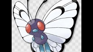 モルフォン ポケットモンスター マルヤクデ ポカブ クマシュン