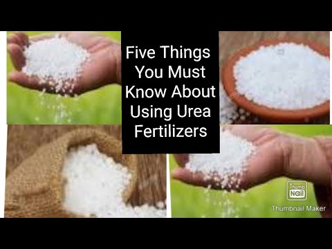 , title : 'What is Urea & How to Use Urea Fertilizer in Gardening ( English)  evergreen garden'