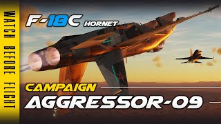 DCS - Gameplay ITA - F/A 18C Hornet - Aggressors BFM Campaign #09