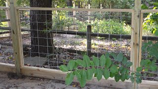 Hog Panel Fence Complete