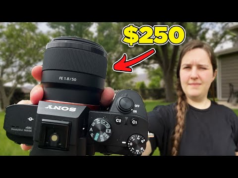 This Unloved Lens is Actually Really Good