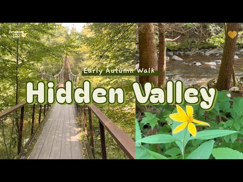 My Healing Vlog | Life in Connecticut | Hidden Valley Preserve part 1🥾🌼  