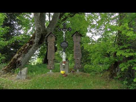 NA ŠPACÍRU - ŠUMAVA